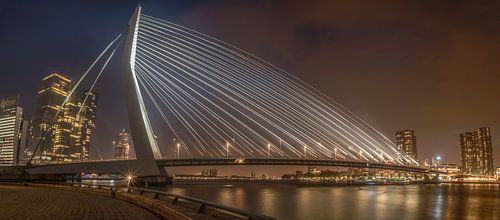 Een Panorama van de Erasmusbrug met mist RawBird Photo's Wouter Putter