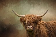 Scottish Highland Cow by Diana van Tankeren thumbnail