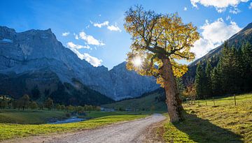 beroemd Tirools landschap Ahornboden, Oostenrijkse wandelbestemming van SusaZoom