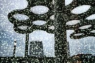 Festive Bollendak Utrecht in shop window by Patty Elferink thumbnail