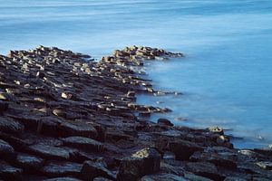 Giant's Causeway van Johan Zwarthoed