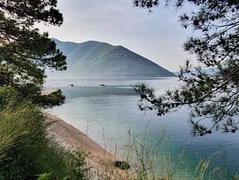 Blick auf die Bucht von Kotor