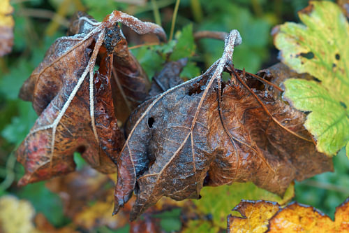 herfst begint