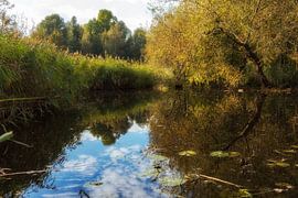 Herbstlicher Teich von De Dwarsgouw