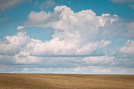 Minimalist landscape in Ingber by Rob Boon thumbnail