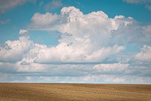 Minimalistische Landschaft in Ingber von Rob Boon