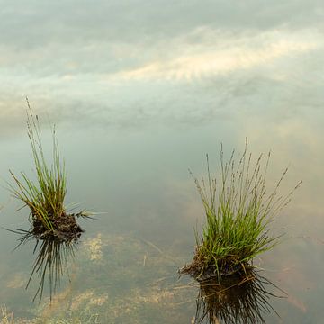 Endless. van Alie Ekkelenkamp