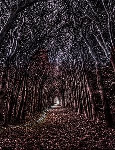 Blair Witch Projekt 2035