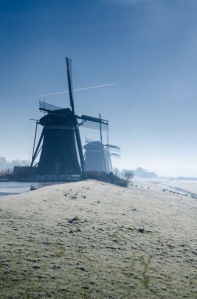 Matinée d'hiver - La promenade du Moulin Trois à Leidschendam par Ricardo Bouman Photographie