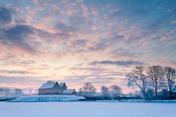 Koude winterochtend in Ezinge