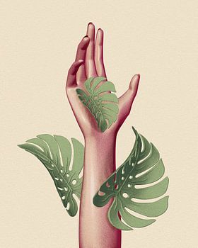 Hand monstera deliciosa