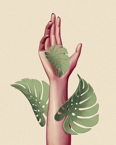 Hand monstera deliciosa