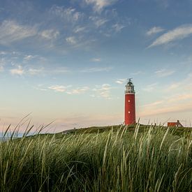 Die blaue Stunde an der Küste von Texel von Ingrid Fotografie