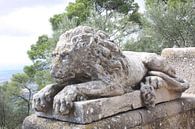 Lion Ranger by Marianne van den Bogaerdt thumbnail