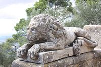 Lion Ranger
