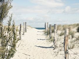 Pathway to the beach