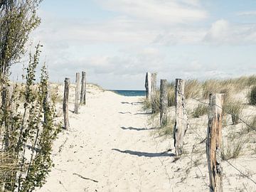 Pad naar het strand van Andreas Berheide Photography