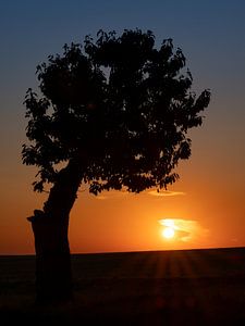Sonnenaufgang