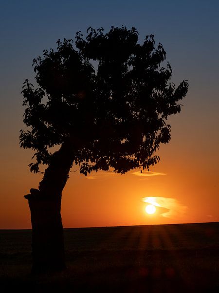 Zonsopgang van Andreas Müller