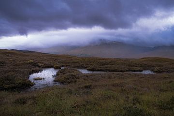 moorland Rannoch Moor by Willemijn Wolthaus