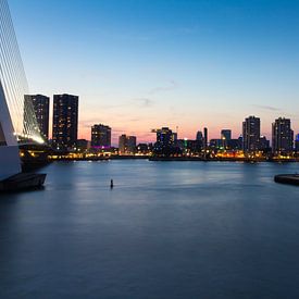 Erasmus bridge Rotterdam van Brandon Lee Bouwman
