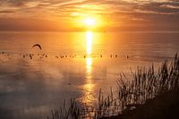 Zonsondergang in Harlingen
