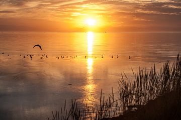 Zonsondergang in Harlingen von Sidney Portier