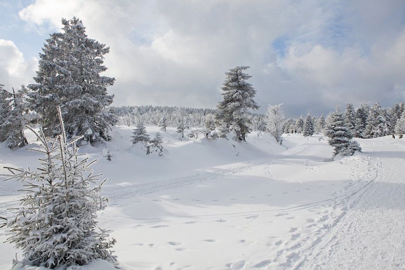 The snowy tracks of the Brockenbahn below the Brocken in the Harz mountains by t.ART