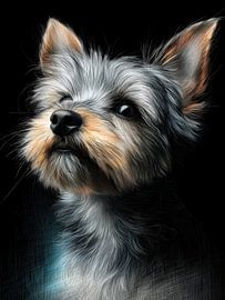 Yorkshire terrier dog #dog