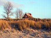 Duinlandschap aan de Oostzee in Wustrow van Renate Knapp thumbnail