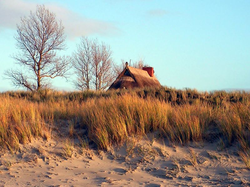 Duinlandschap aan de Oostzee in Wustrow van Renate Knapp