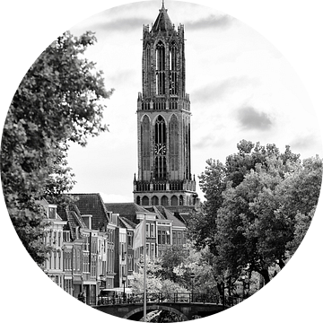 Domtoren Utrecht gezien vanaf de Bemuurde Weerd (2) 