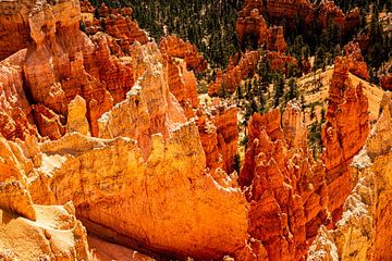 Landscape enchanting hoodoos amphitheater in Bryce Canyon National Park Utah USA by Dieter Walther
