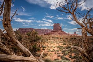 Monument Valley National Park van Harold van den Hurk