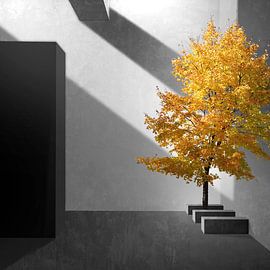 Le béton dans la nature