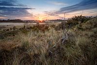 Sunrise in the dunes
