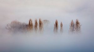 Nebel im Geul-Tal
