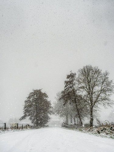 Winter silence by Lex Schulte