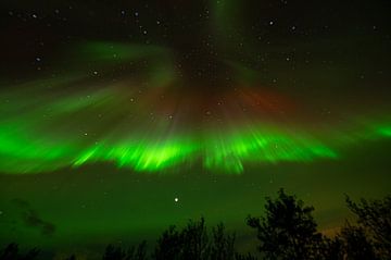 Nordlicht Aurora borealis Island von Dick Hoogenboom
