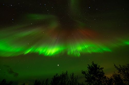 Noorderlicht Aurora borealis IJsland