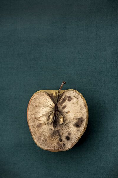 Ga weg van de tafel. van GERALD CUMMINS