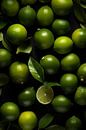 Limes V3 by drdigitaldesign thumbnail