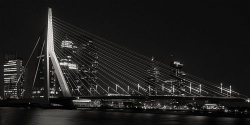 Rotterdam, Erasmusbrug bij Night
