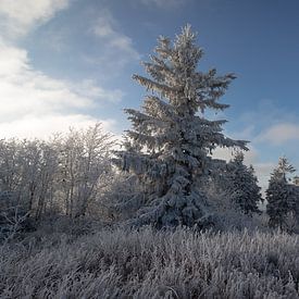 Grote Feldberg met vorst van Freedom Streaming Photography