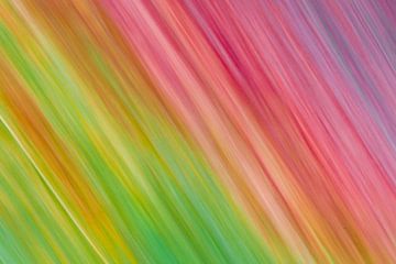 Rainbow von Hans Dehing
