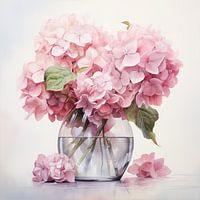 Hortensie 01