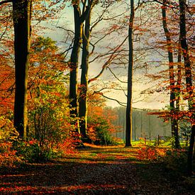 Spanderswoud in herfstkleuren van Annie Snel