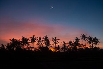 Zonsondergang met palmbomen van Ellis Peeters