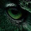 Eye of the Bird Green Mystery im Detail von Eva Lee