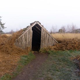 Plaggenhut in De Peel von Geert Van Baelen